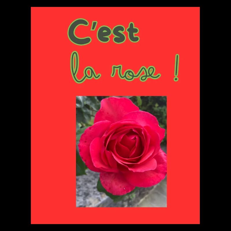 C'est la rose!