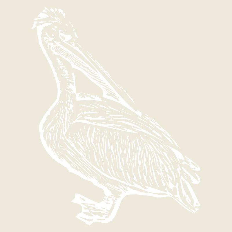 Pelikane Vogel Vögel Pelecanus