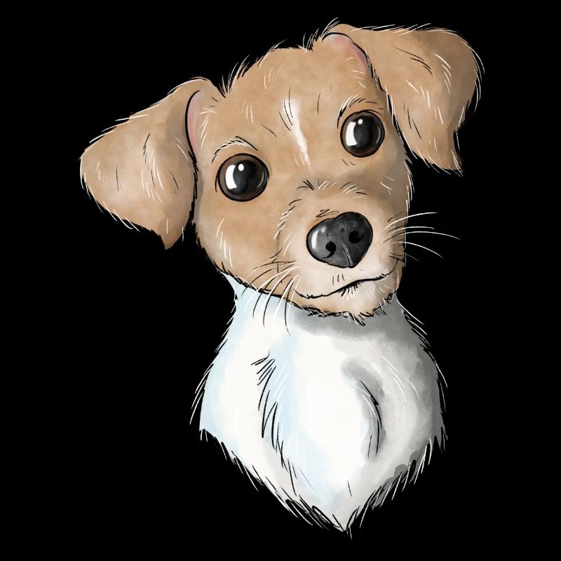 Terrier 11