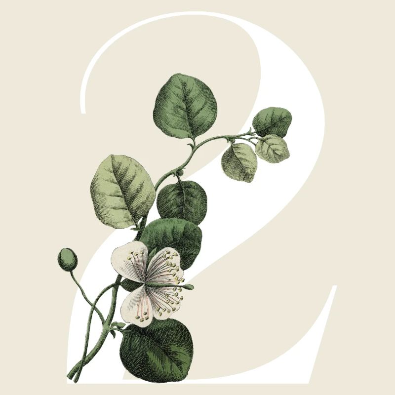 Nummer 2 Blumengrün - 2. Blumengeburtstag