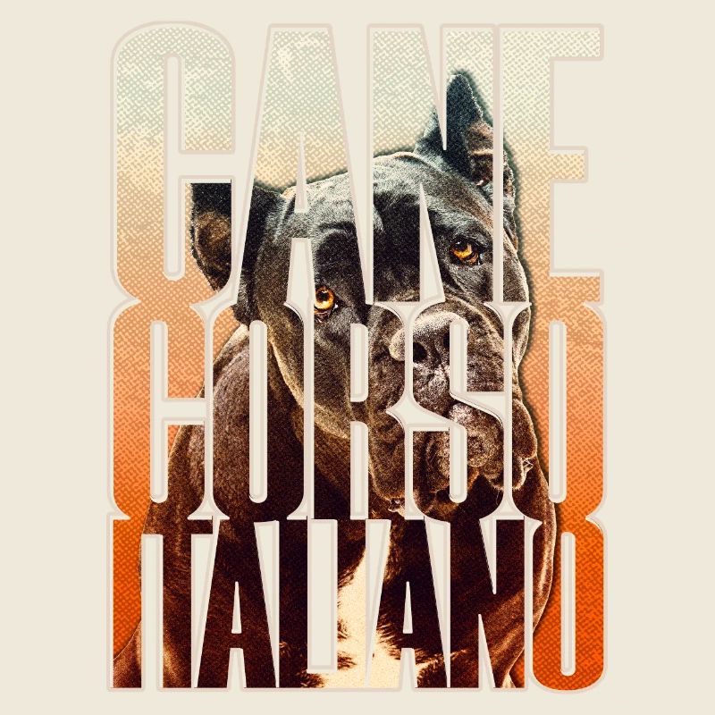 Cane Corso Italiano