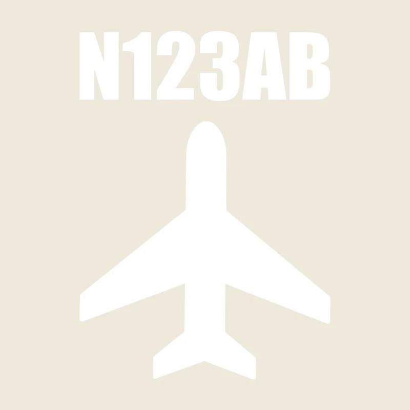 Custom Aviation - Flugzeug - Luffahrt - Pilot