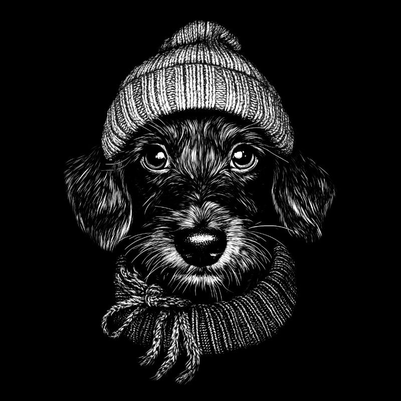 Teckel à poil dur Chapeau à pompon Chien Chien Teckel