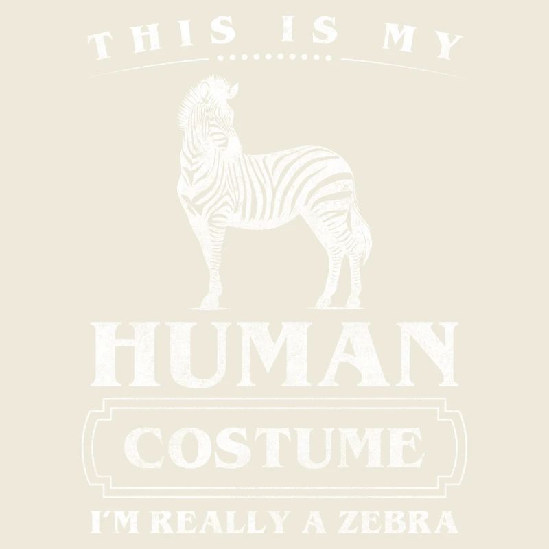 Zebra Nature Steppe Prairie