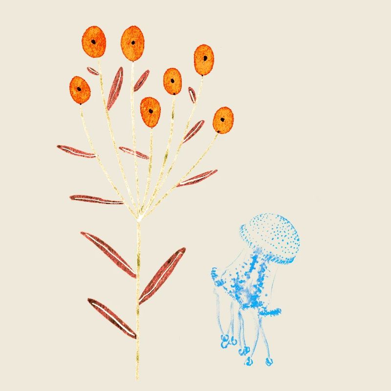 Fleurs néon et méduses bleues