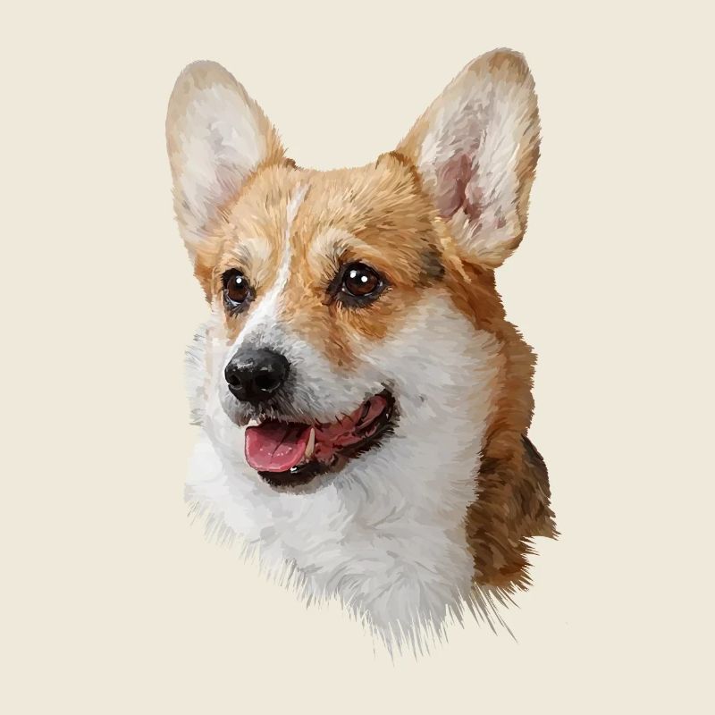 Welsh Corgi Pembroke