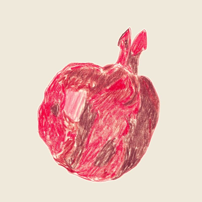 Granatapfel