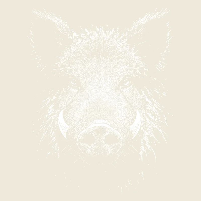 Wild boar