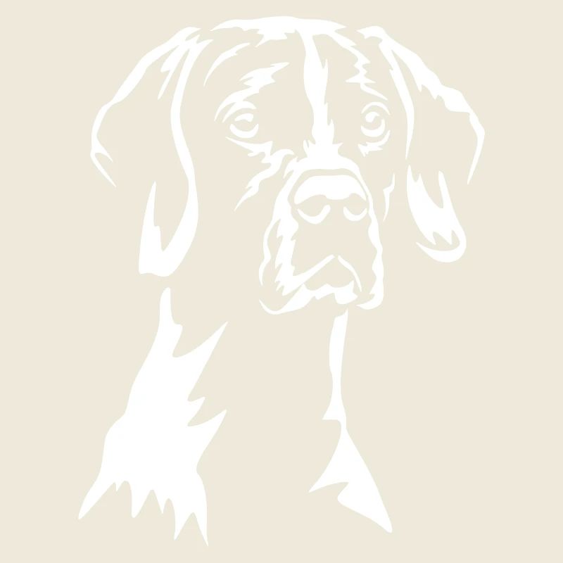 English Pointer « Black Edition »