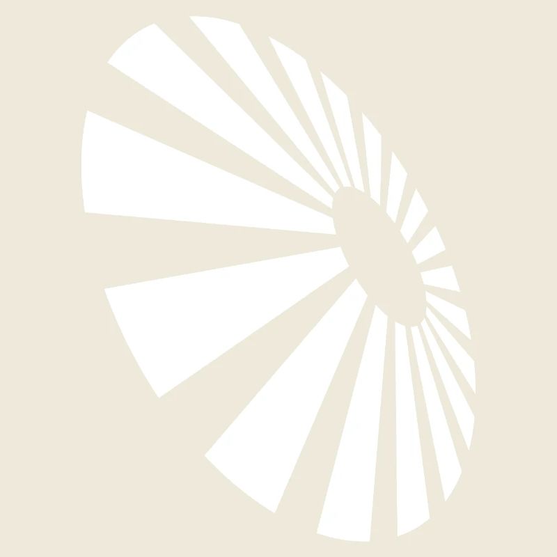 Spiral Fan Monochrome Pattern
