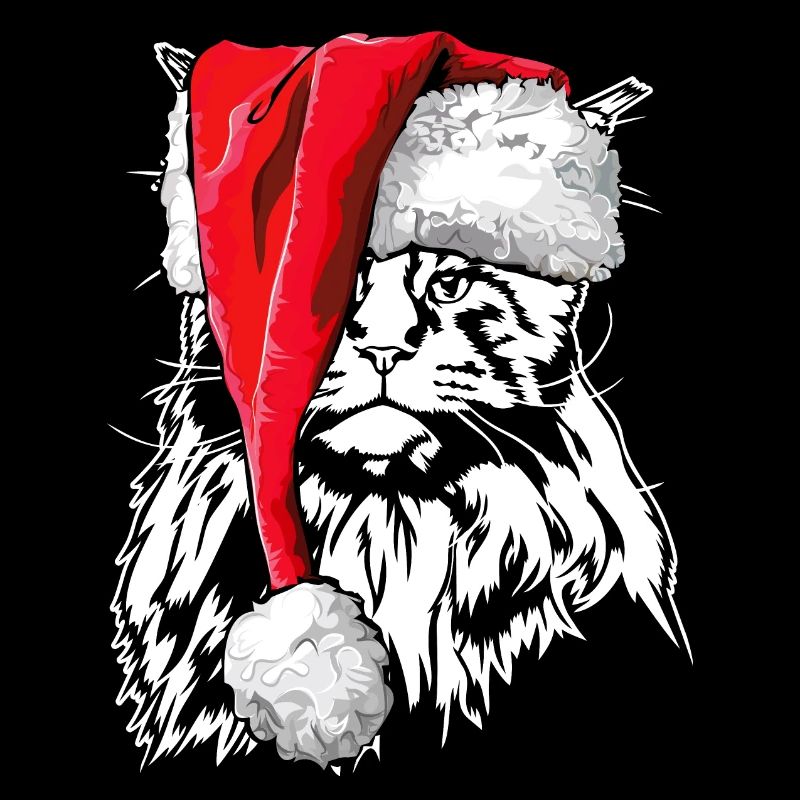 Père Noël Maine Coon Noël chat Wilsigns