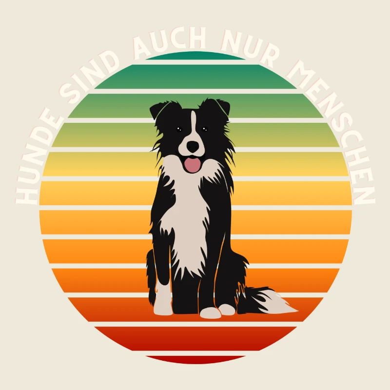 Mignon border collie dans un coucher de soleil rétro