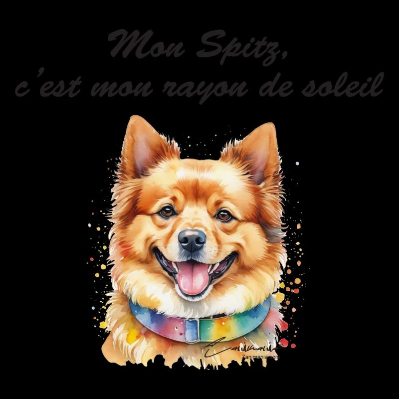 Spitz rayon de soleil