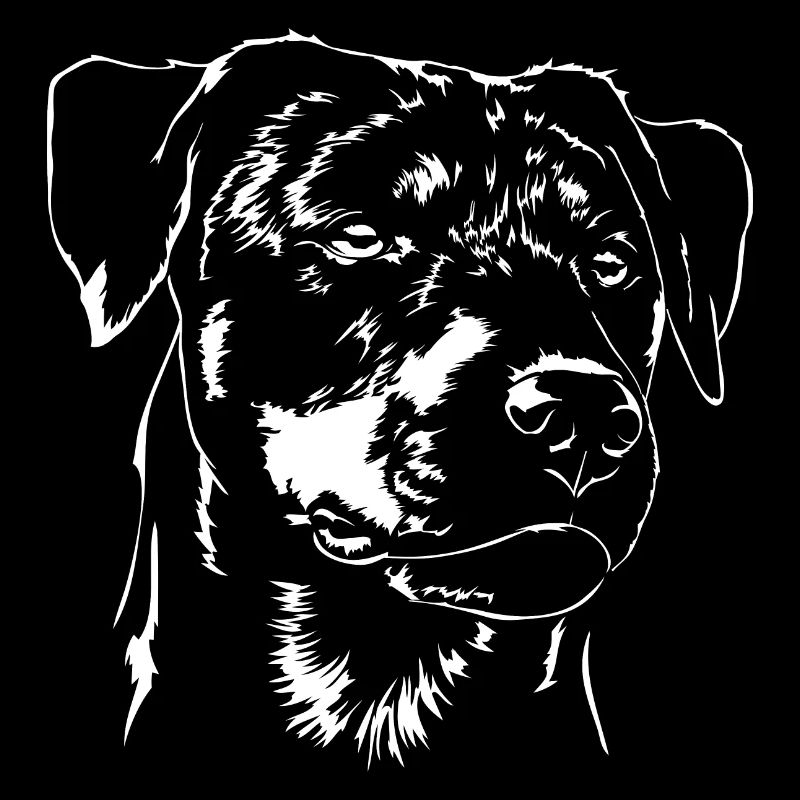 DEUTSCHER JAGDTERRIER glatthaar Wilsigns Jagdhund