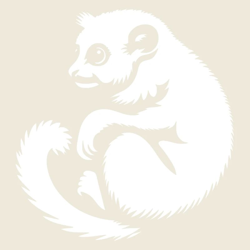 Loris Slowlori Silhouette Mammal