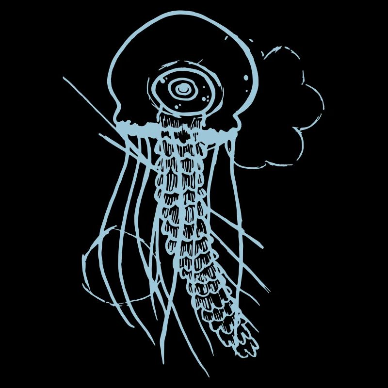 jellyfish
