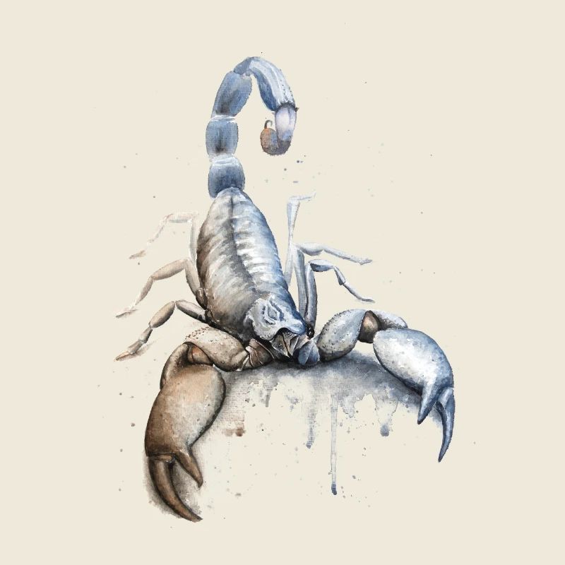 Sternzeichen Skorpion