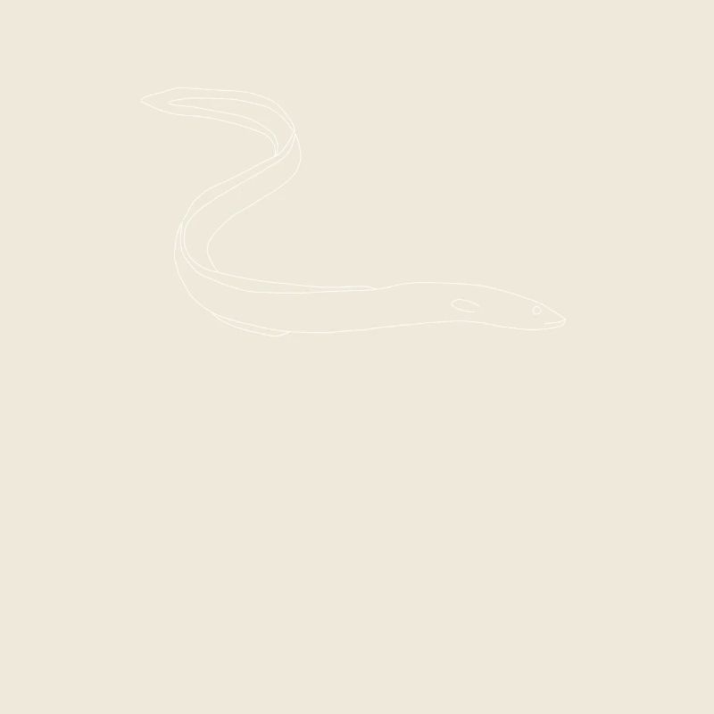 eel