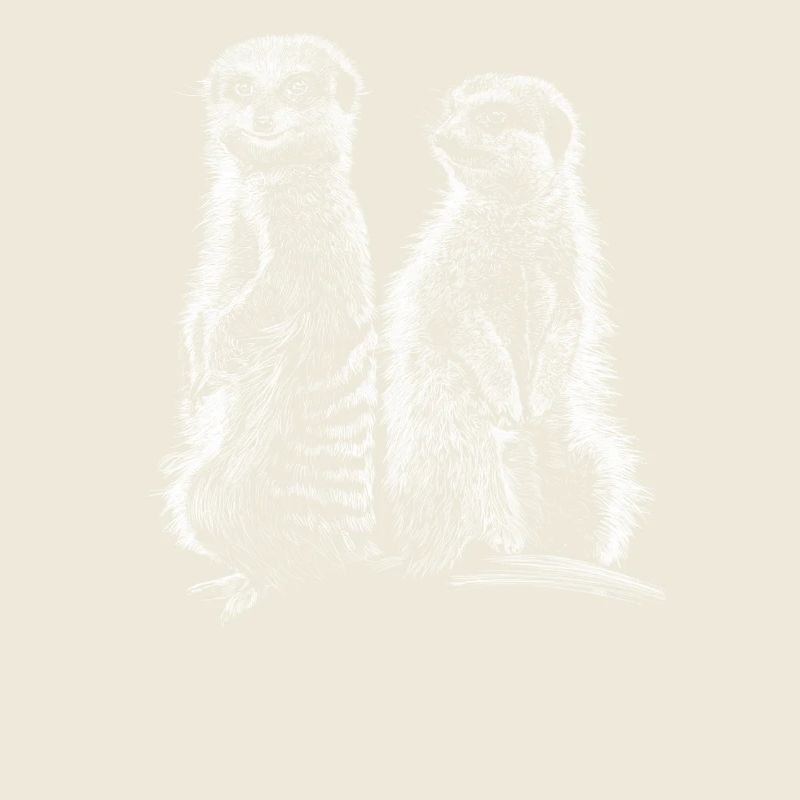 Meerkats