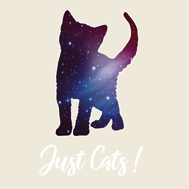 Chat chaton silhouette espace chat galaxie