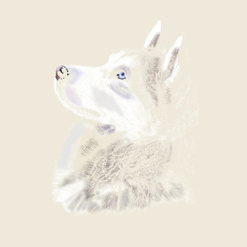 Husky