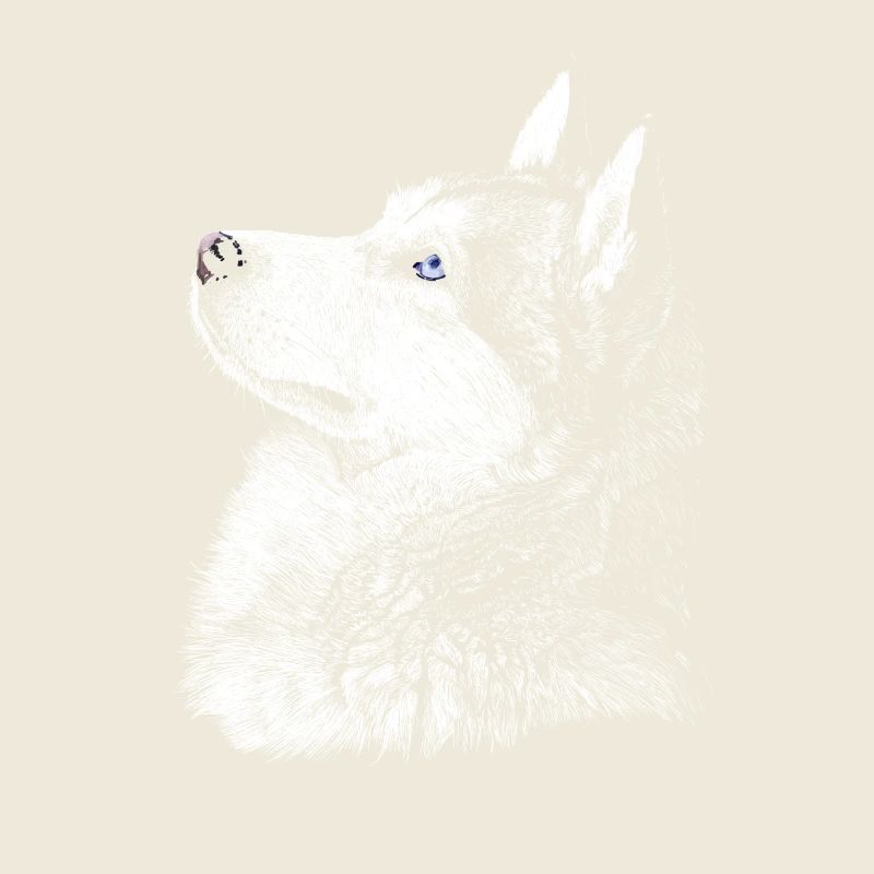 Husky