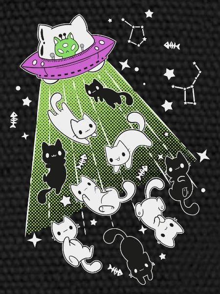 chats extraterrestres