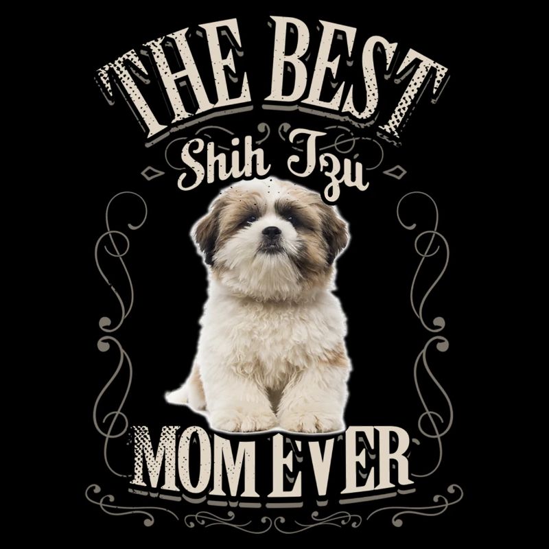 Shih Tzu -