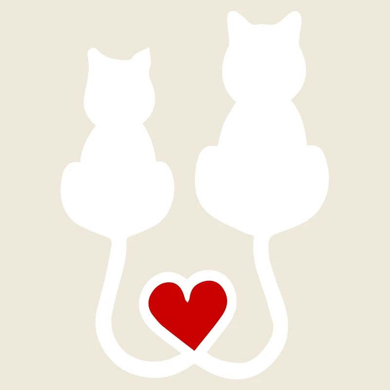 Katzen