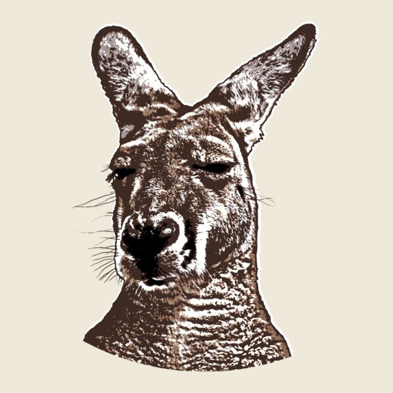 Tête de kangourou
