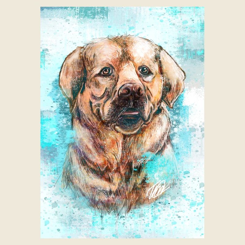 Labrador