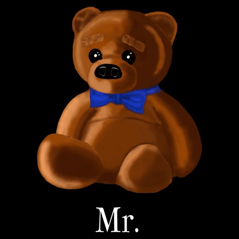 Mr Teddy