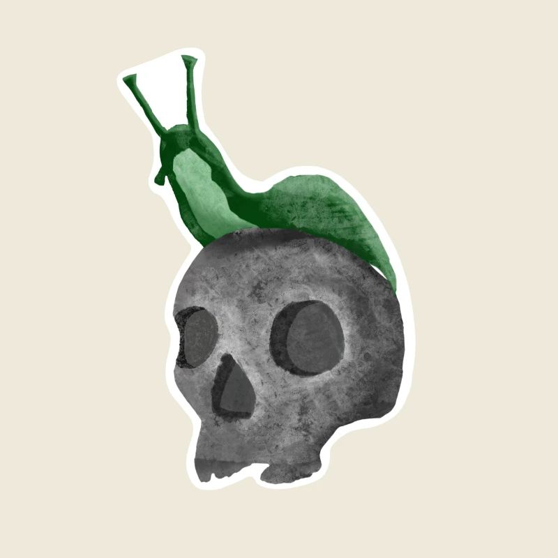 Crâne avec escargot