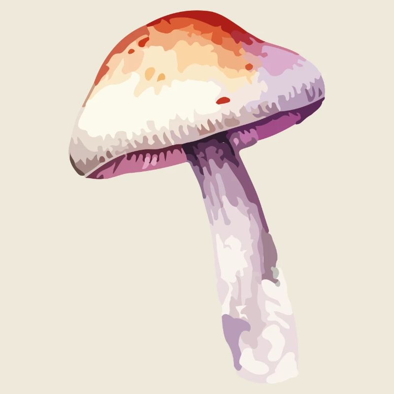 champignon