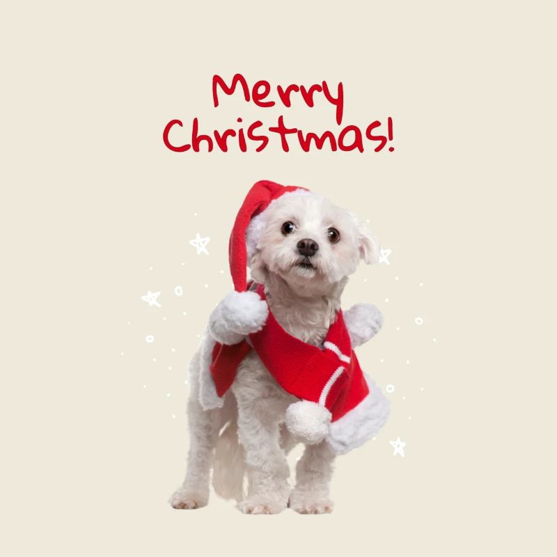 Doux Noël