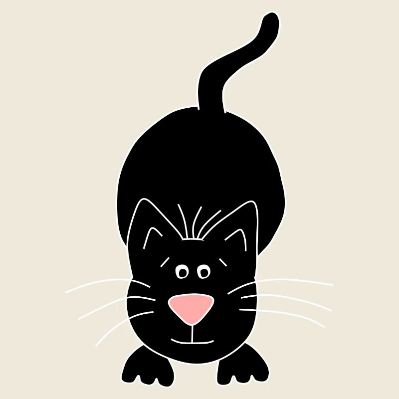 chat noir