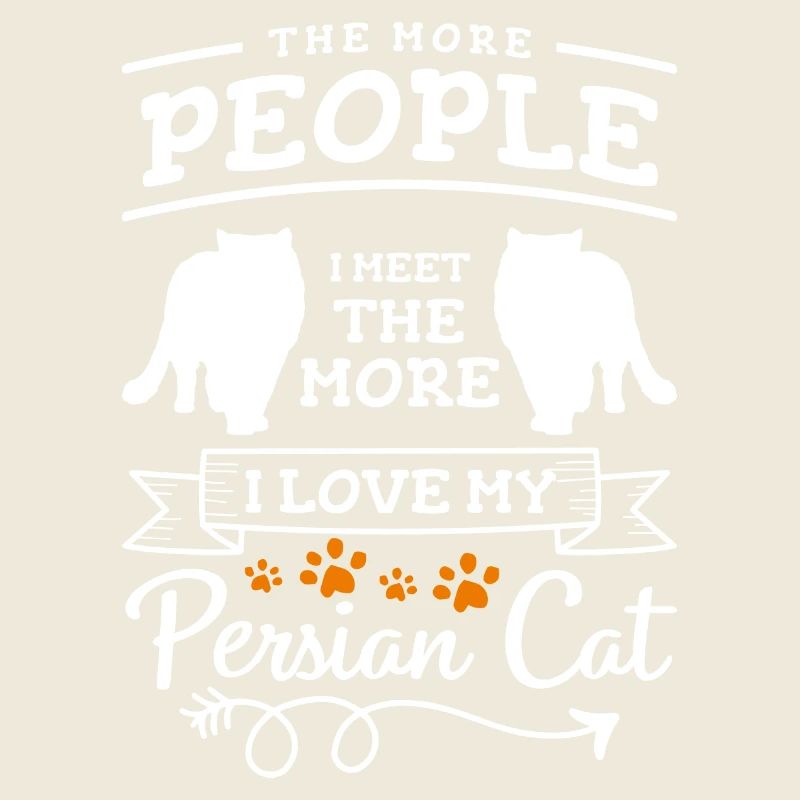 Perser Katze Katzendame Chefin