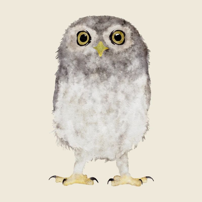 Hibou