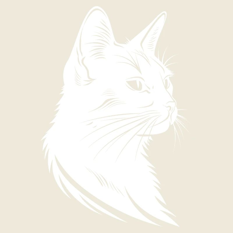 Katze Skizze