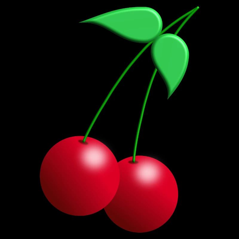 Zwillings Kirschen mit Blättern