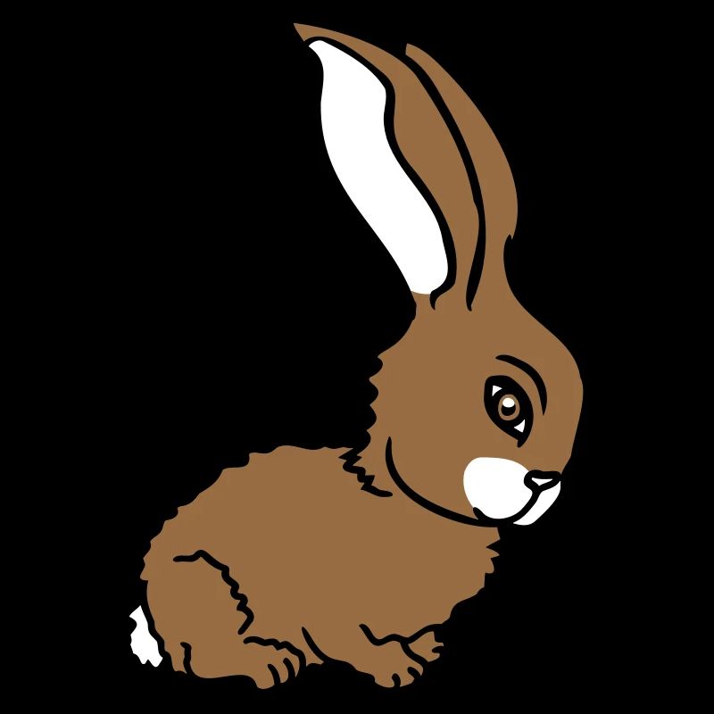 bunny bunny cute cute small friendly cuddly