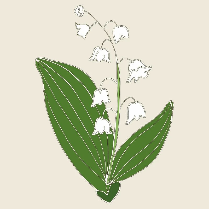 maigloeckchen 2 6