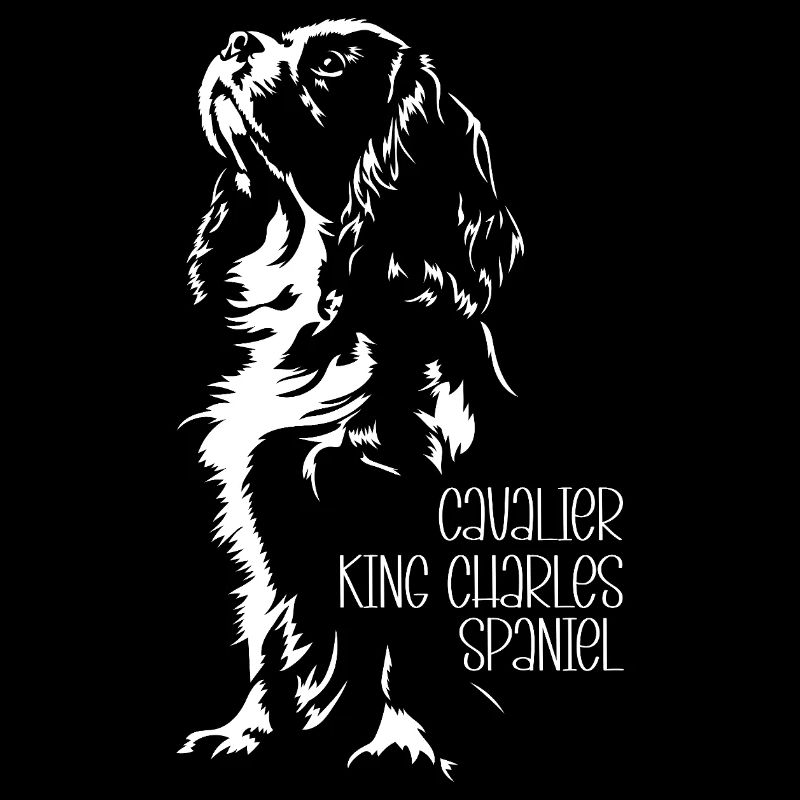 Cavalier King Charles Spaniel Chien Chien Wilsigns