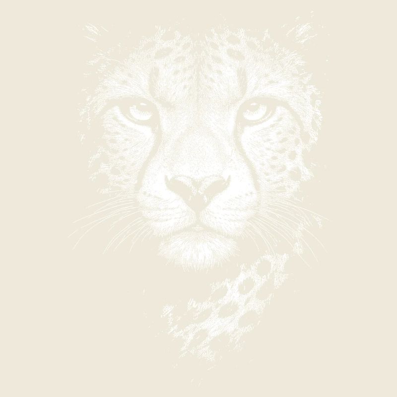 Guépard