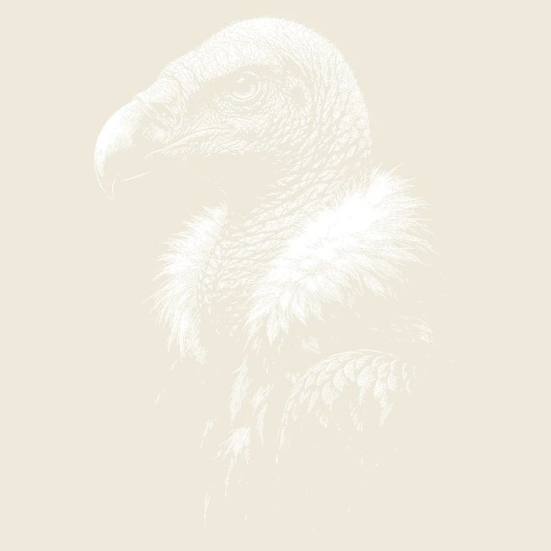 Vautour