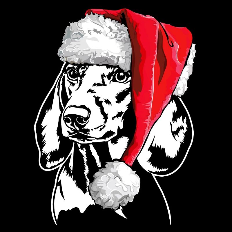 Santa Dachshund Teckel Chiens de Noël Wilsigns