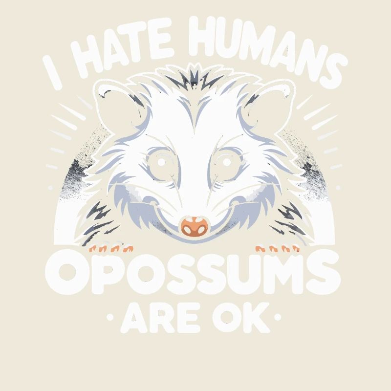 Opossum Possum Animal