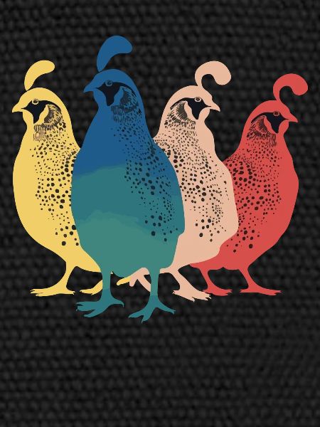 Caille Oiseau Cailles