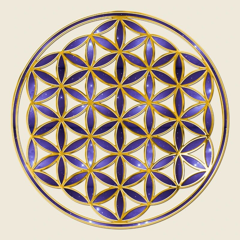 Fleur de la vie - Univers