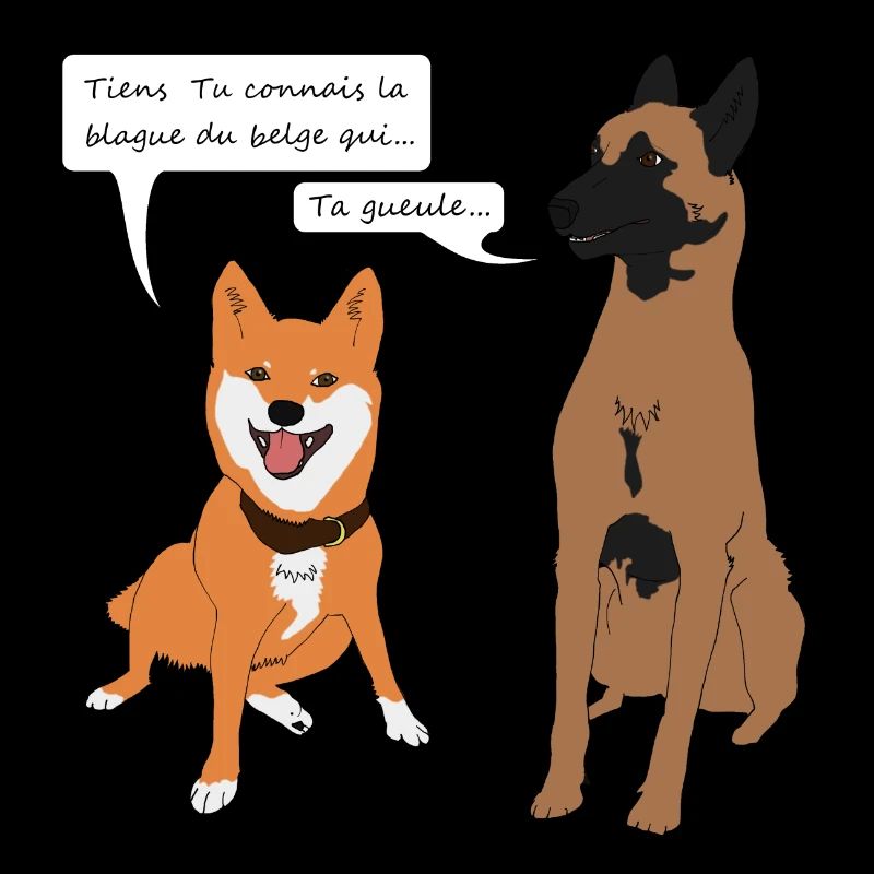 blague belge